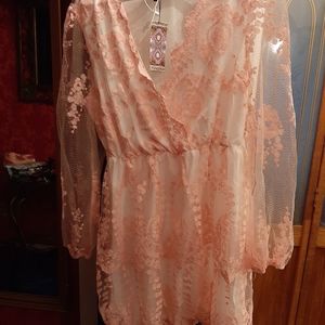 Womans plus size blush skater dress